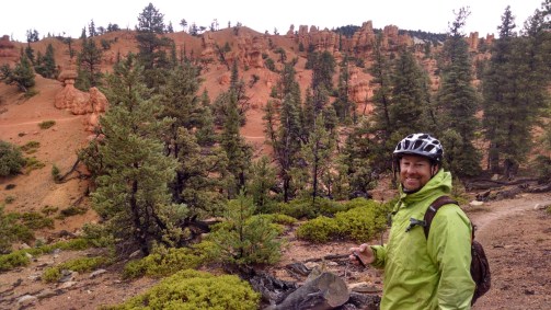 wp-1445281138718 image